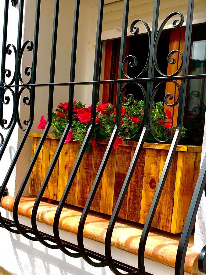 Castell De Castells Casa Blanca Bed & Breakfast エクステリア 写真