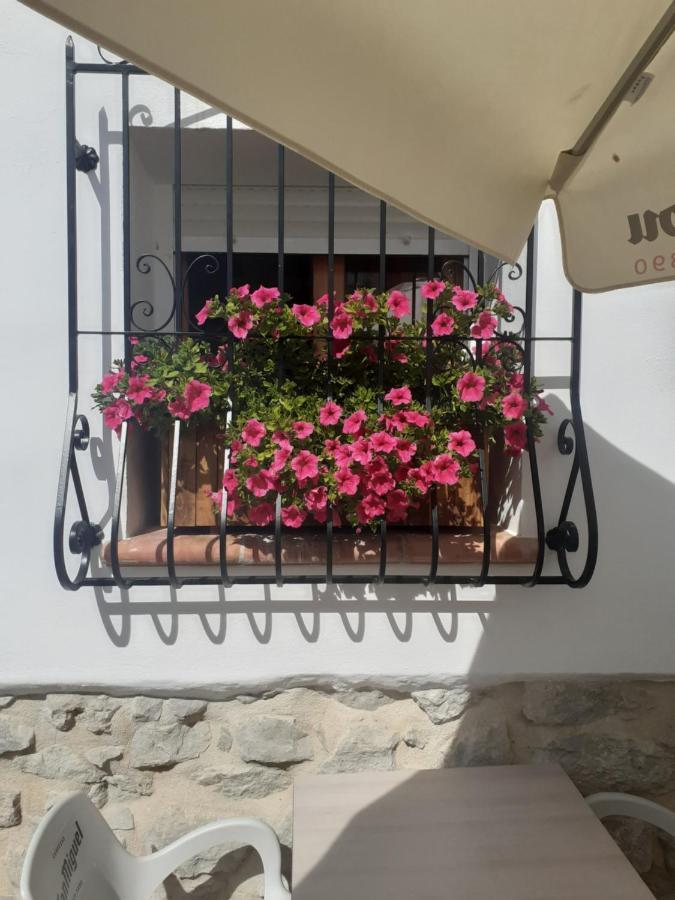 Castell De Castells Casa Blanca Bed & Breakfast エクステリア 写真