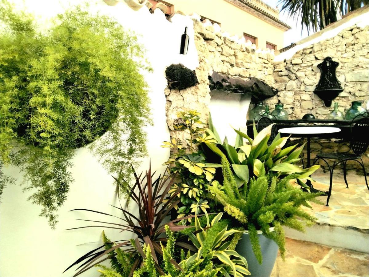Castell De Castells Casa Blanca Bed & Breakfast エクステリア 写真